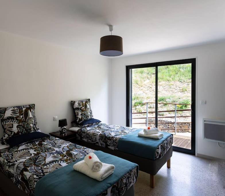 Villa Blanche, Contemporary, Cathars, Couiza, Carcassonne Eksteriør billede