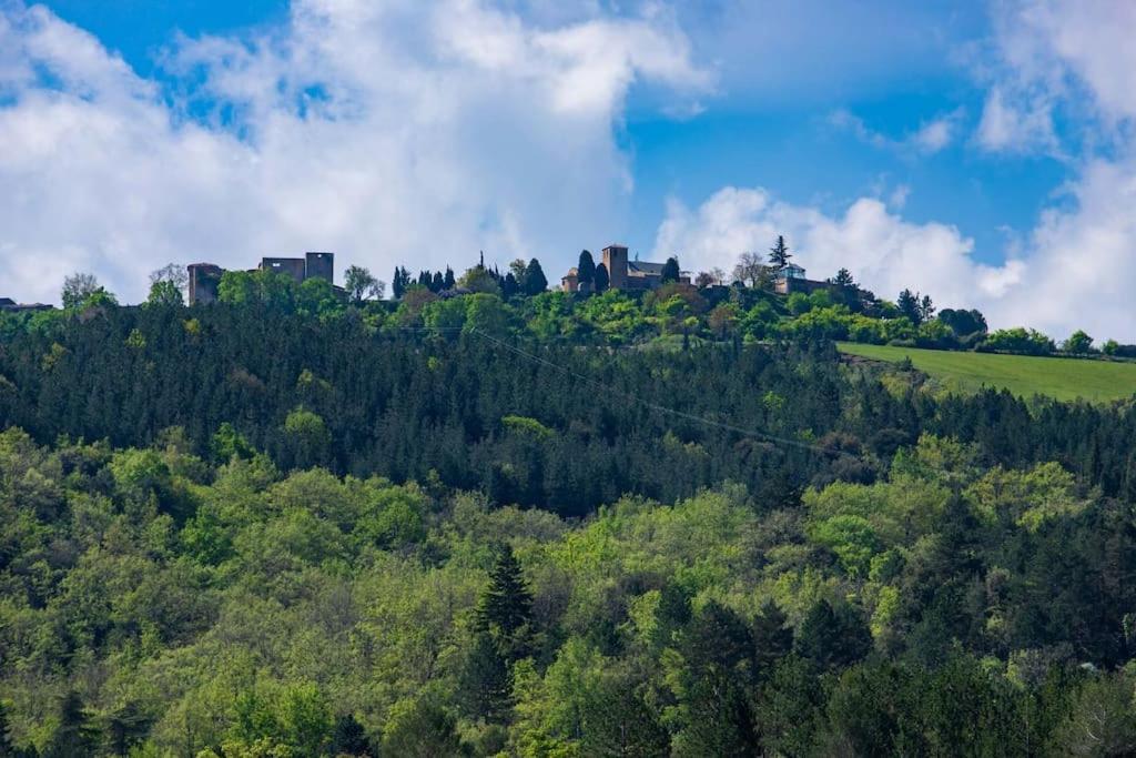 Villa Blanche, Contemporary, Cathars, Couiza, Carcassonne Eksteriør billede